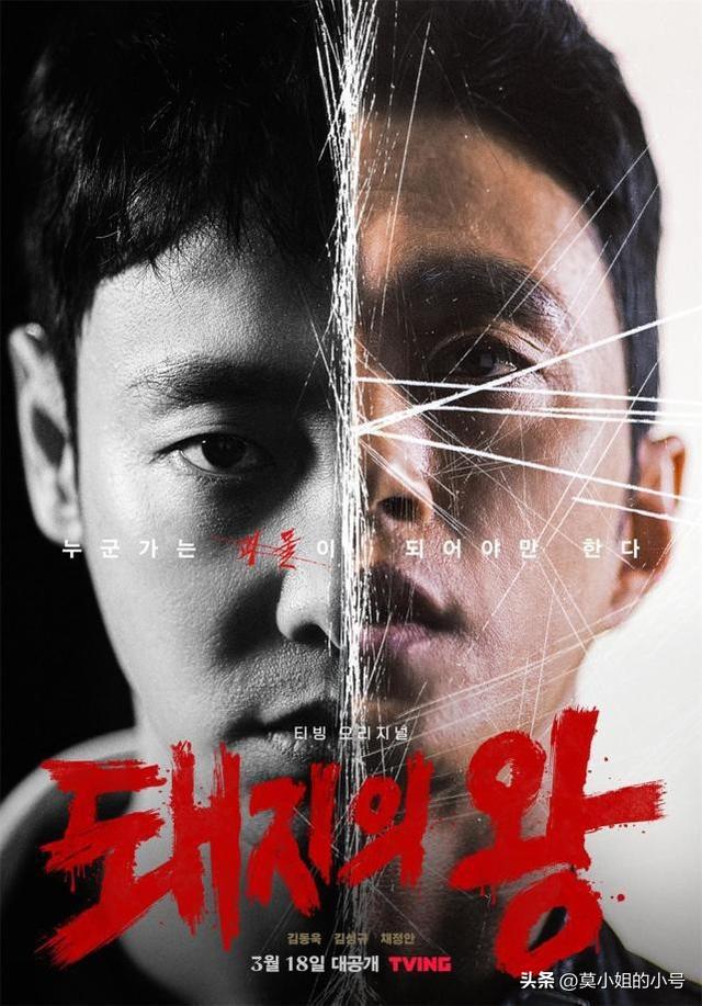 2022年度十佳犯罪韩剧，《黑话律师》只能垫底，最高飙到8.7分