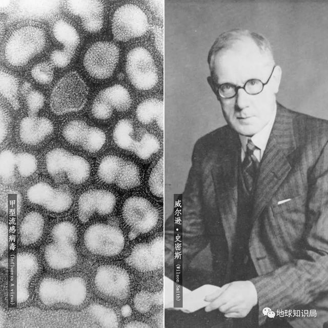 大流感，只是变弱了