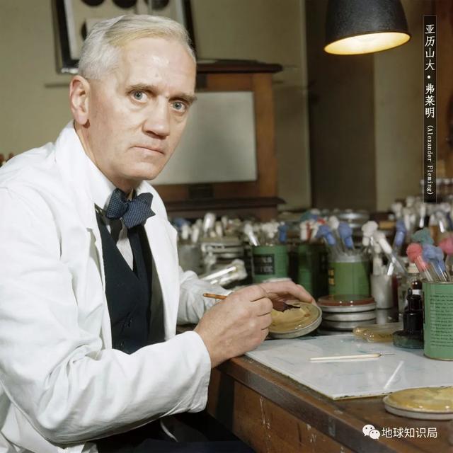 大流感，只是变弱了