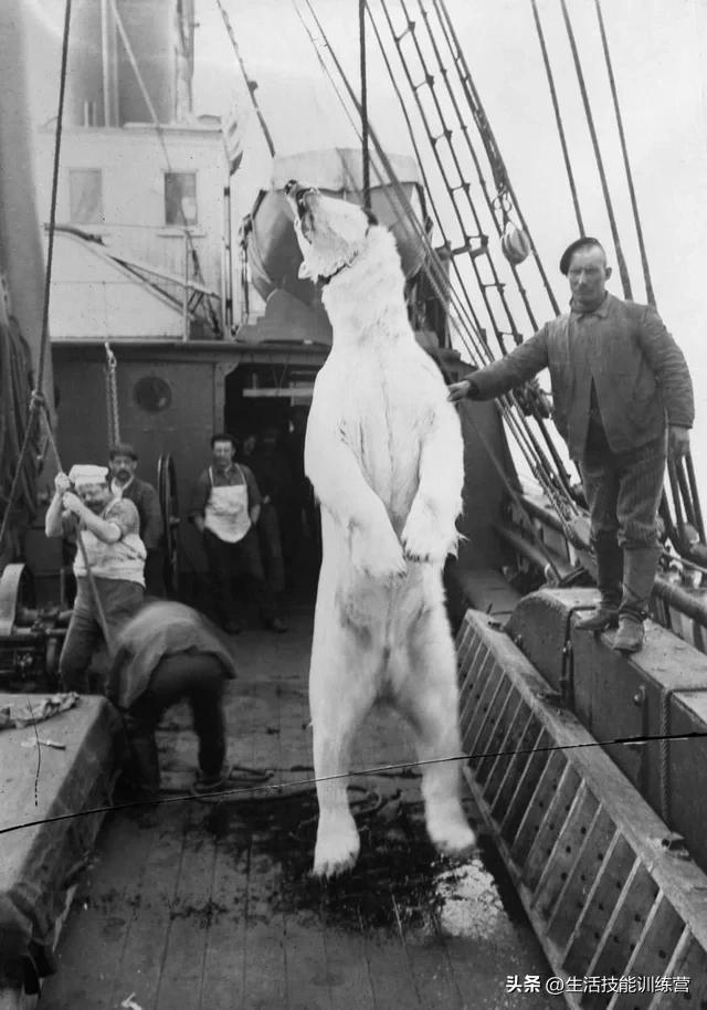 50张罕见的老照片展示书本看不到的一面