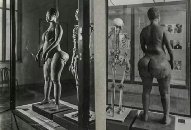 非洲女孩巴特曼因有巨臀，一生被赤身裸体展览，死后还被做成标本