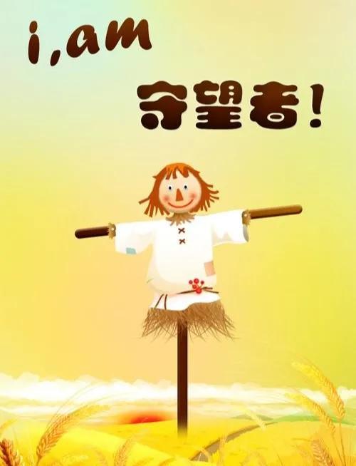 《麦田里的守望者》今又重读，才明白作者究竟要守望的是什么？