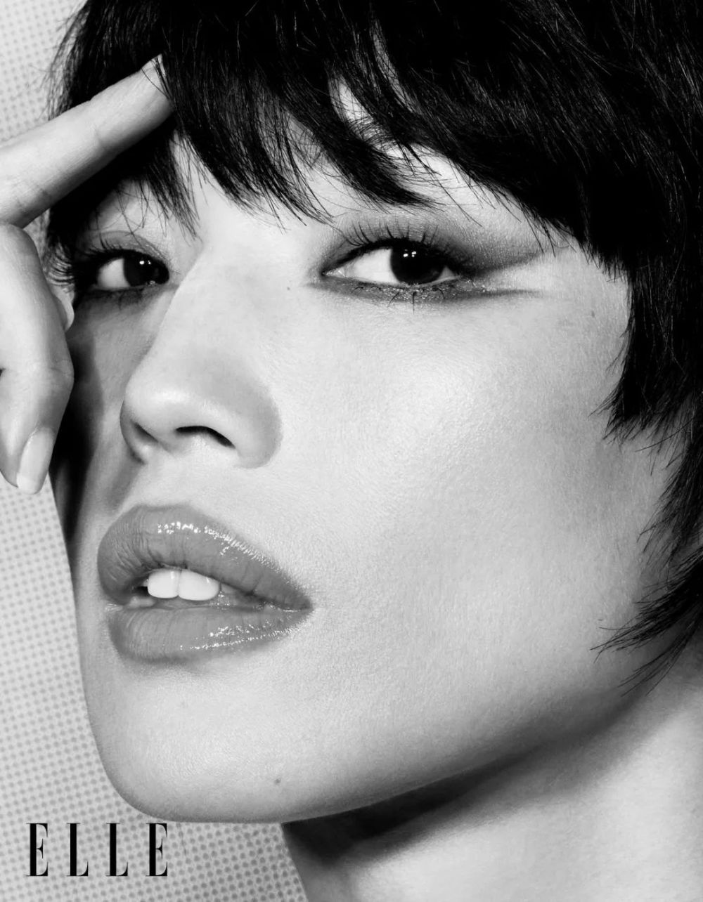 迎难而上的，才是舒淇