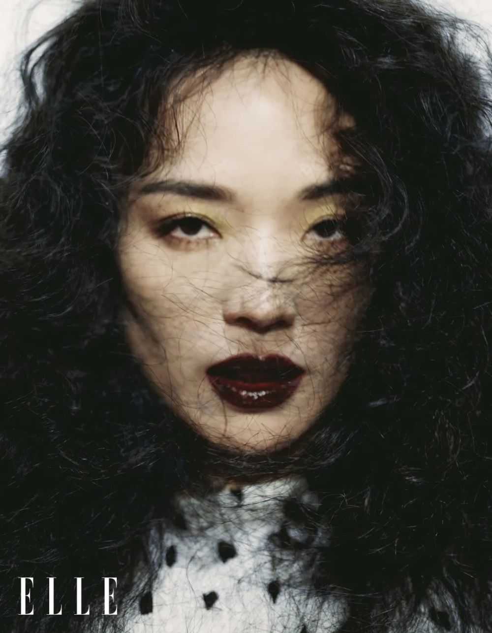 迎难而上的，才是舒淇