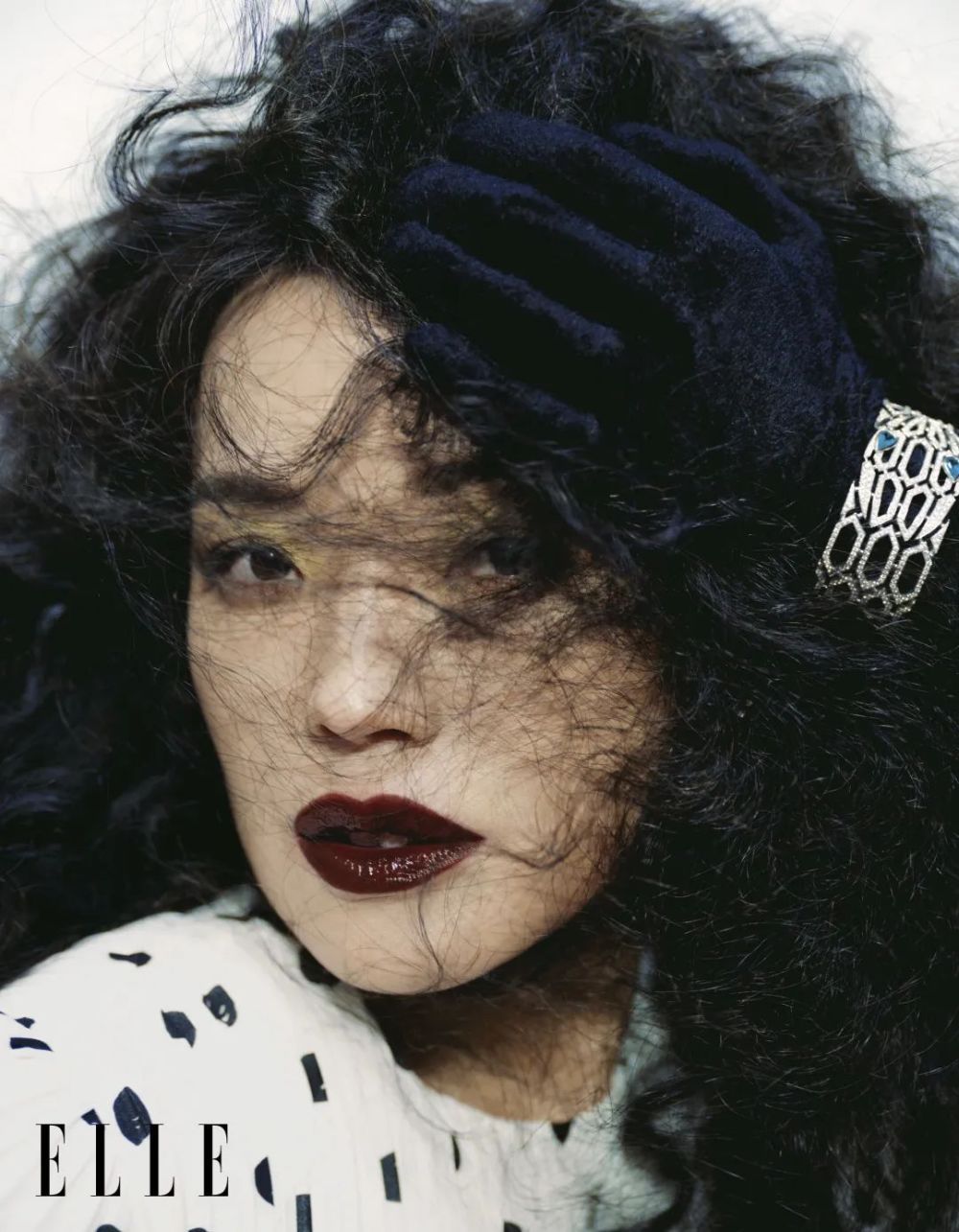 迎难而上的，才是舒淇