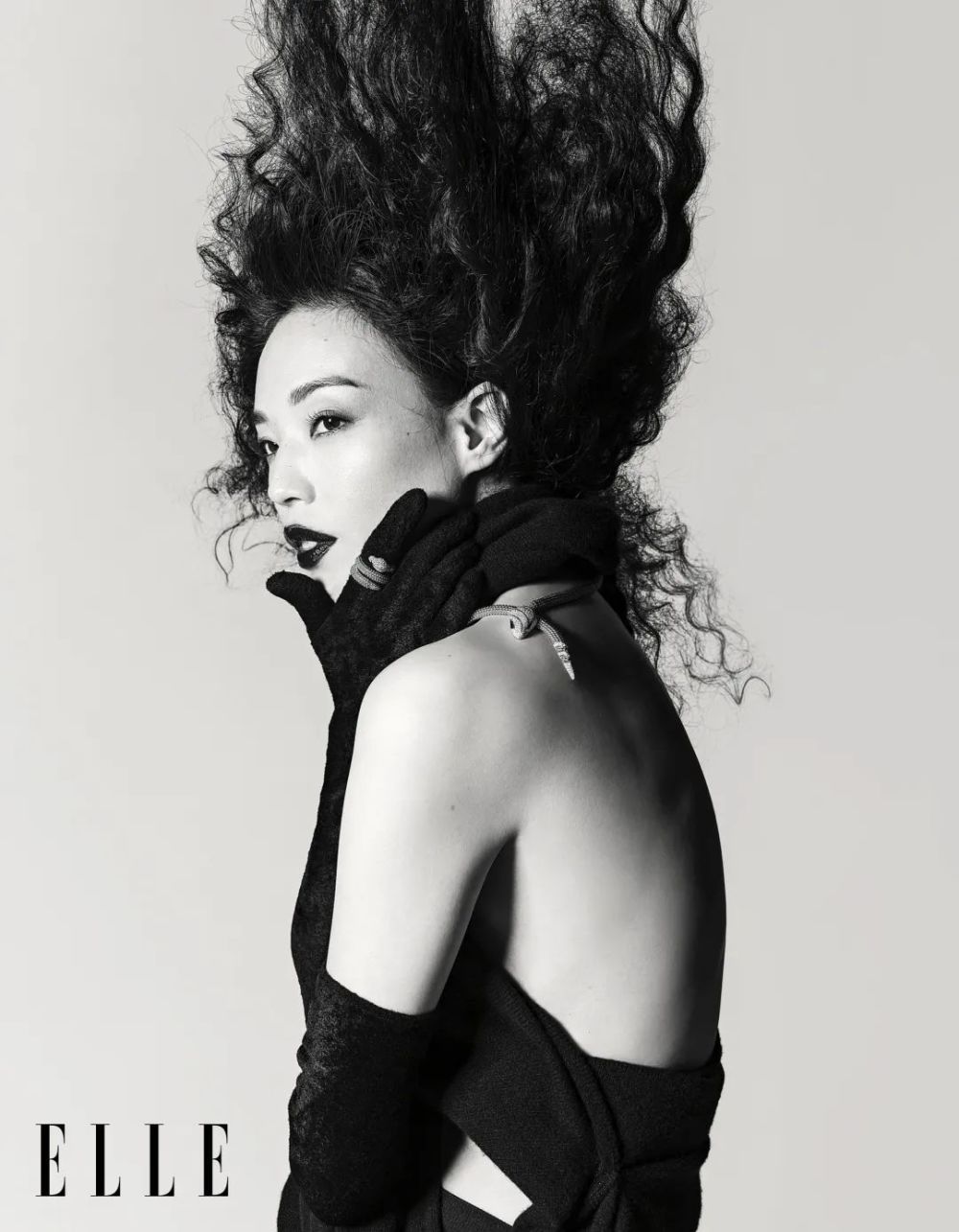 迎难而上的，才是舒淇