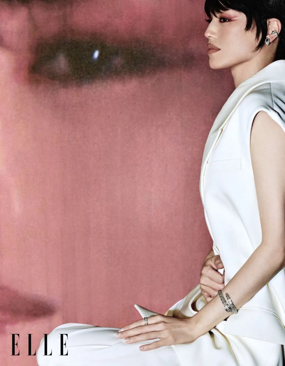 迎难而上的，才是舒淇