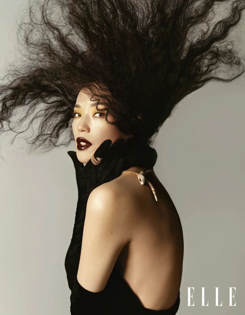 迎难而上的，才是舒淇