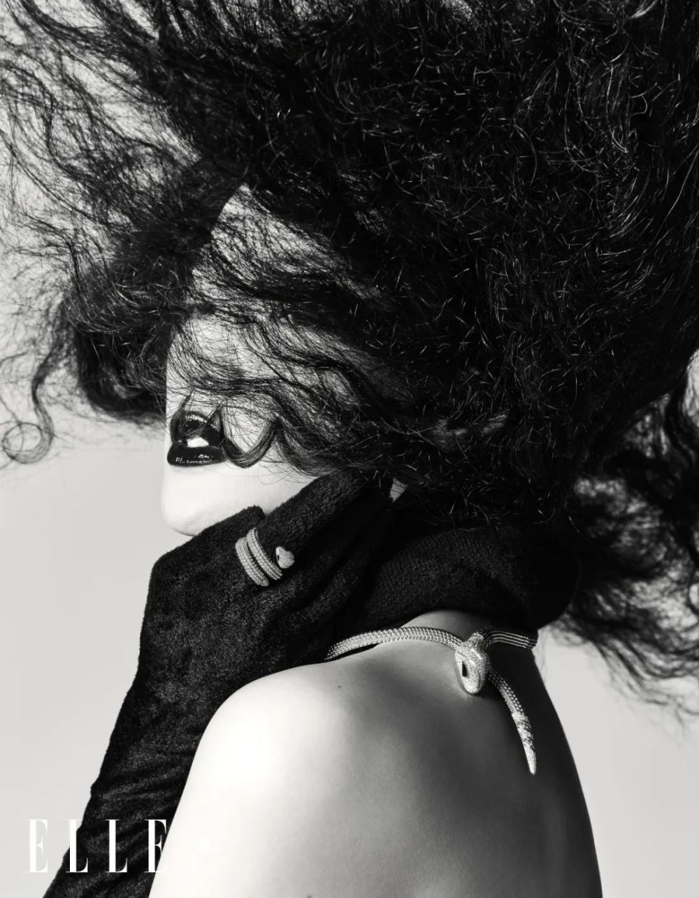 迎难而上的，才是舒淇