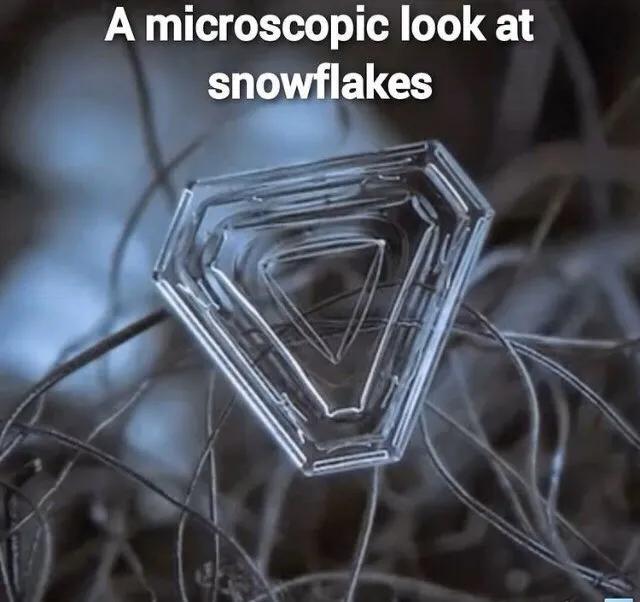 显微镜下的雪花–感受大自然馈赠的美