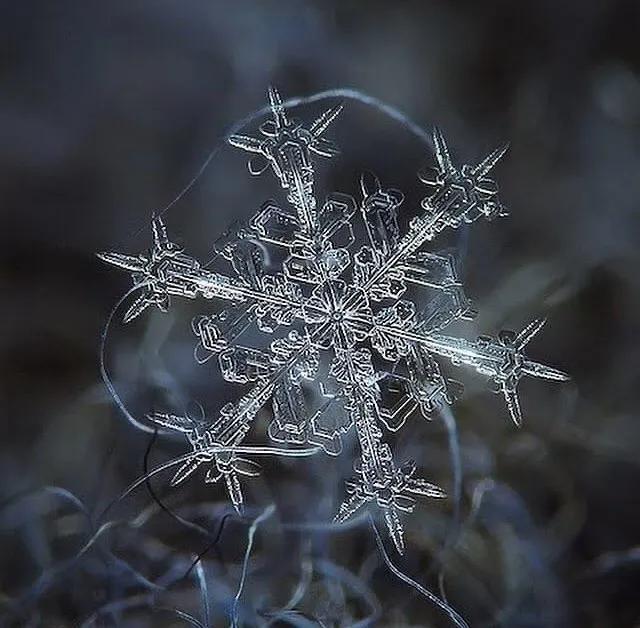 显微镜下的雪花–感受大自然馈赠的美