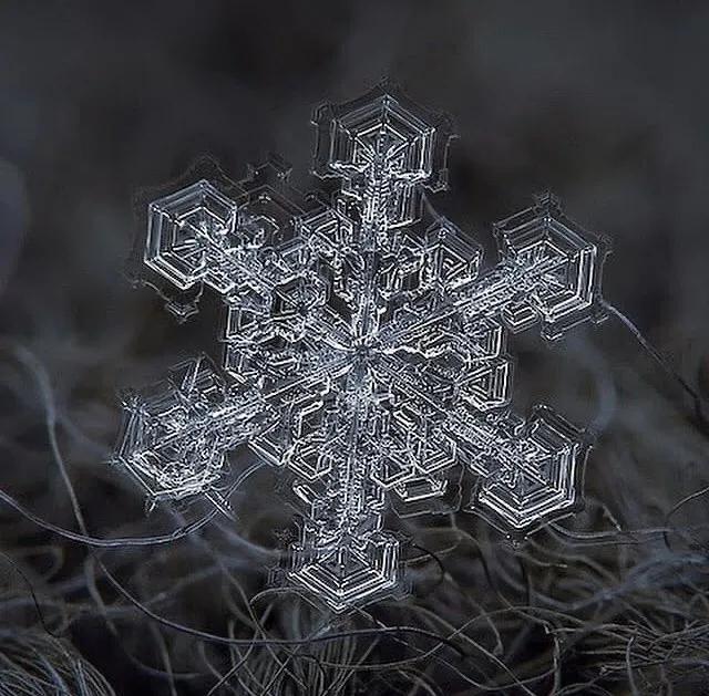 显微镜下的雪花–感受大自然馈赠的美