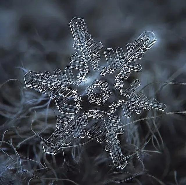 显微镜下的雪花–感受大自然馈赠的美