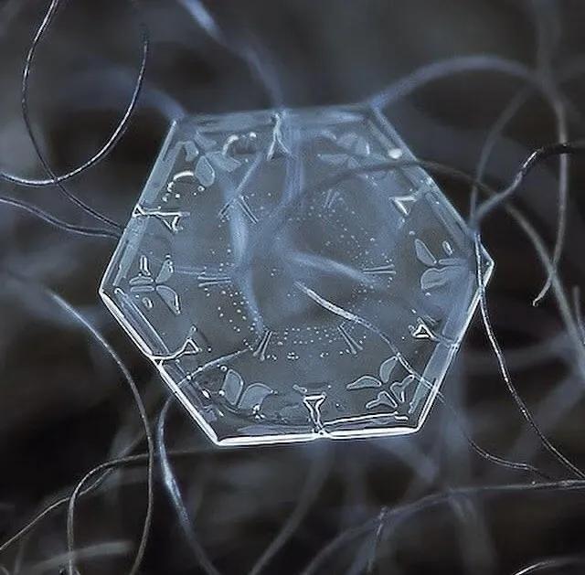 显微镜下的雪花–感受大自然馈赠的美