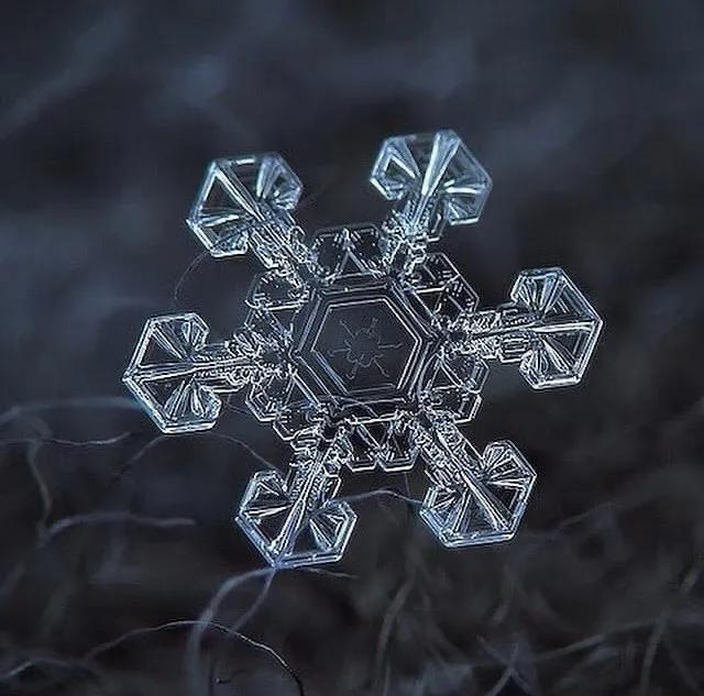 显微镜下的雪花–感受大自然馈赠的美