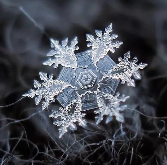 显微镜下的雪花–感受大自然馈赠的美