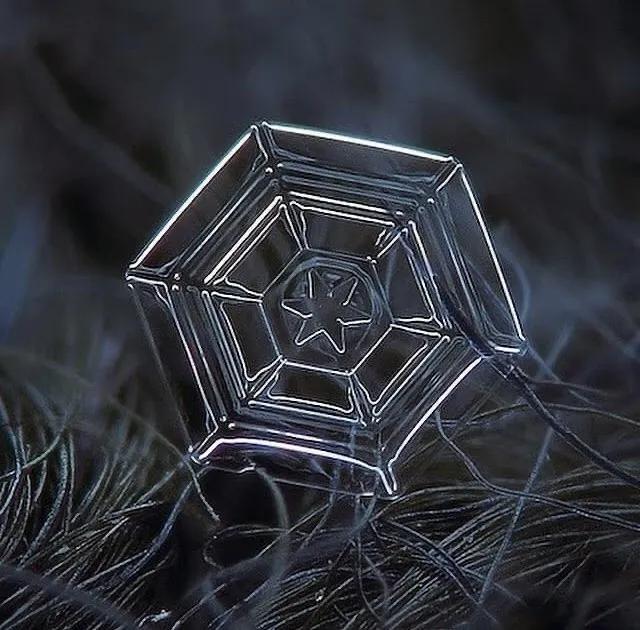 显微镜下的雪花–感受大自然馈赠的美