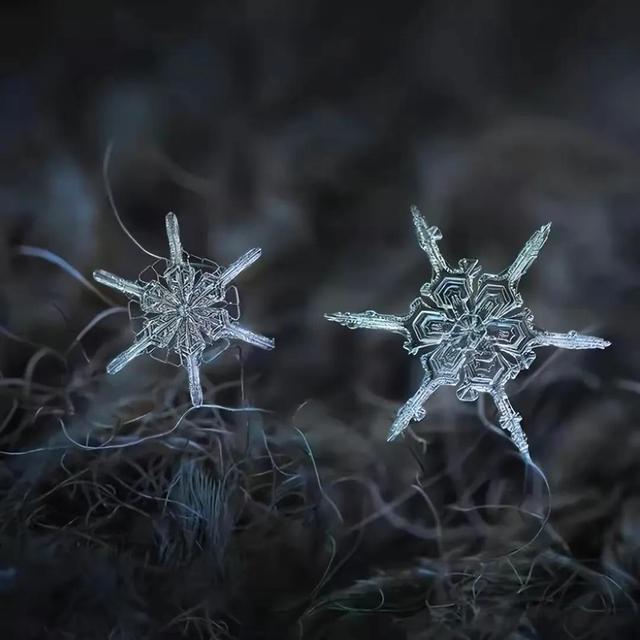 显微镜下的雪花–感受大自然馈赠的美