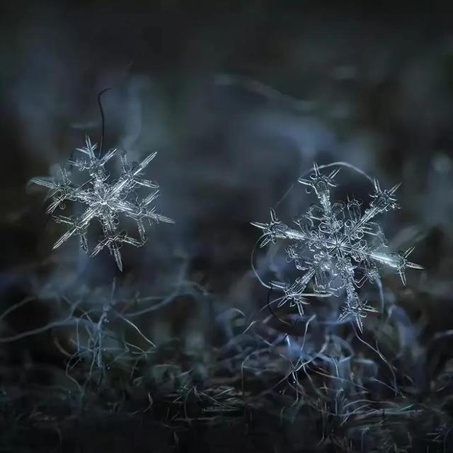 显微镜下的雪花–感受大自然馈赠的美