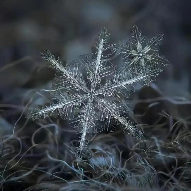 显微镜下的雪花–感受大自然馈赠的美