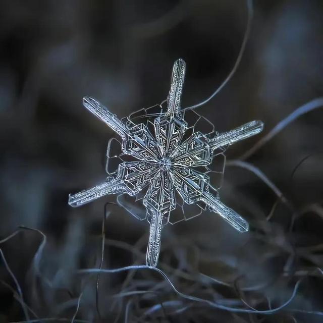 显微镜下的雪花–感受大自然馈赠的美