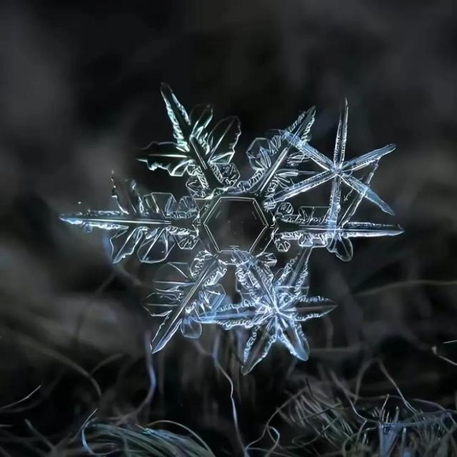 显微镜下的雪花–感受大自然馈赠的美