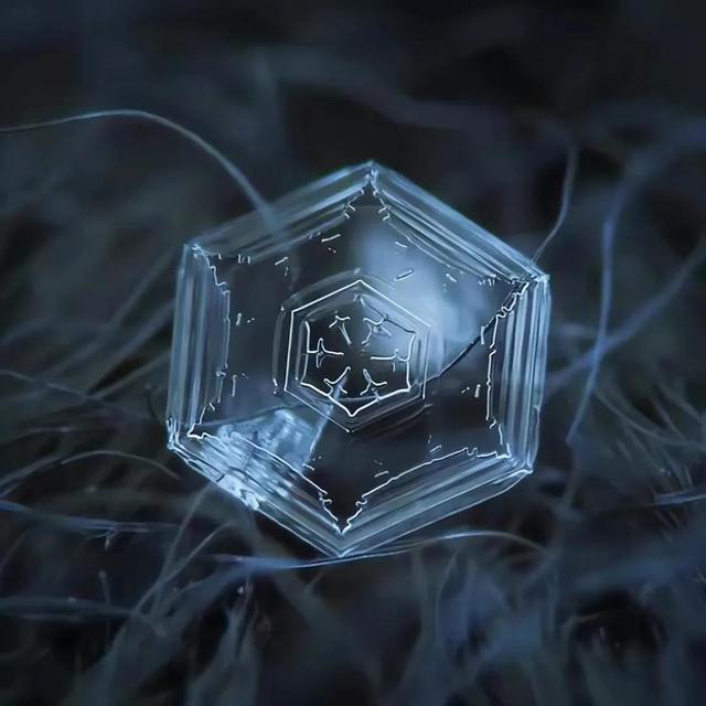 显微镜下的雪花–感受大自然馈赠的美