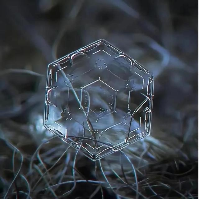 显微镜下的雪花–感受大自然馈赠的美