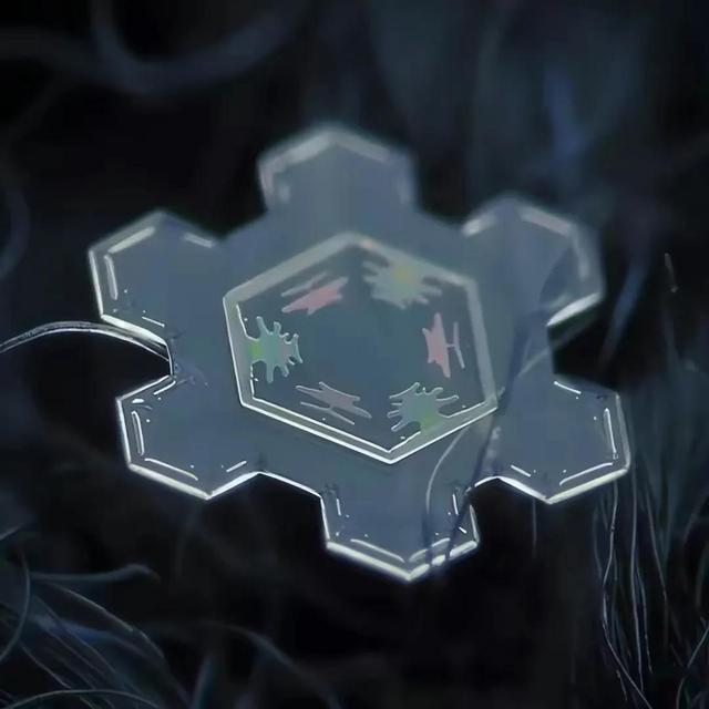显微镜下的雪花–感受大自然馈赠的美