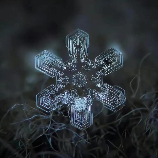 显微镜下的雪花–感受大自然馈赠的美