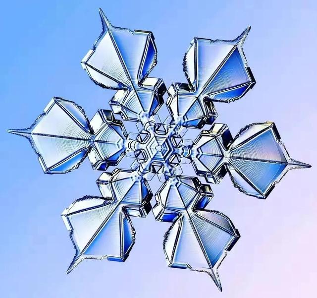 显微镜下的雪花–感受大自然馈赠的美