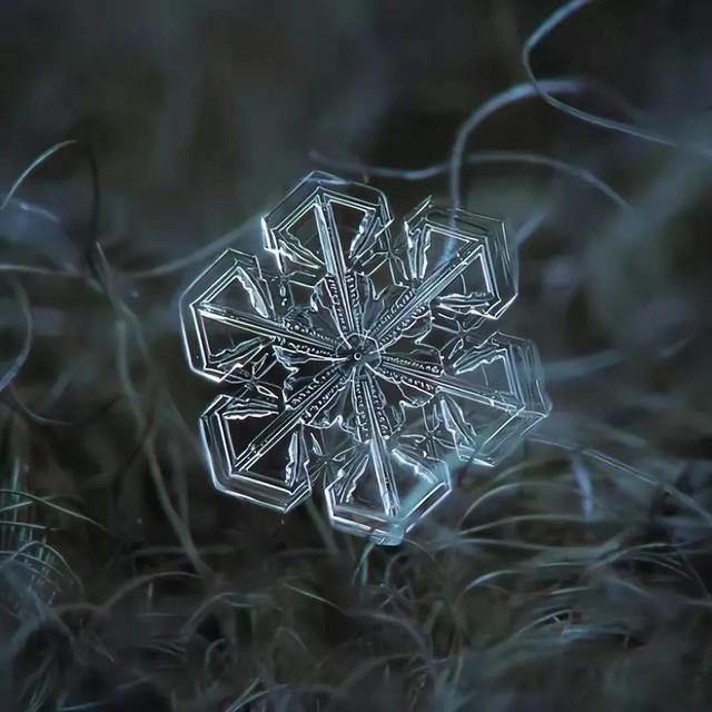 显微镜下的雪花–感受大自然馈赠的美