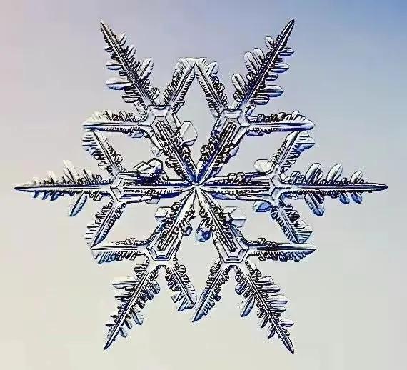 显微镜下的雪花–感受大自然馈赠的美