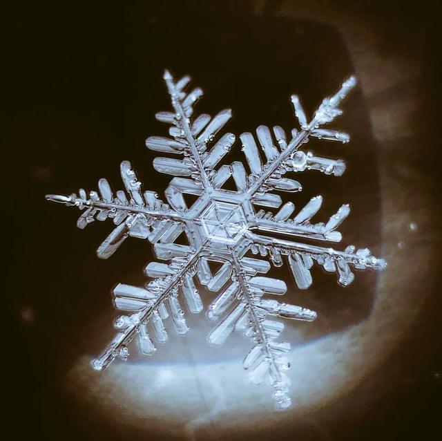 显微镜下的雪花–感受大自然馈赠的美