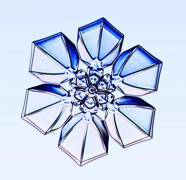 显微镜下的雪花–感受大自然馈赠的美