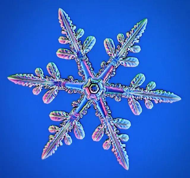 显微镜下的雪花–感受大自然馈赠的美