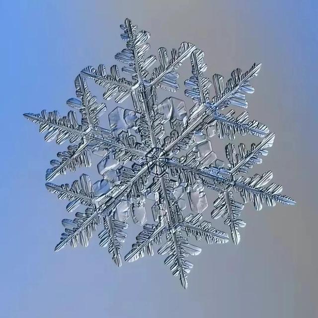 显微镜下的雪花–感受大自然馈赠的美