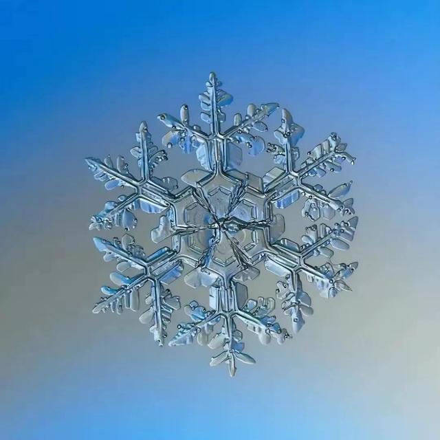 显微镜下的雪花–感受大自然馈赠的美