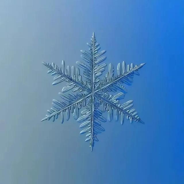 显微镜下的雪花–感受大自然馈赠的美