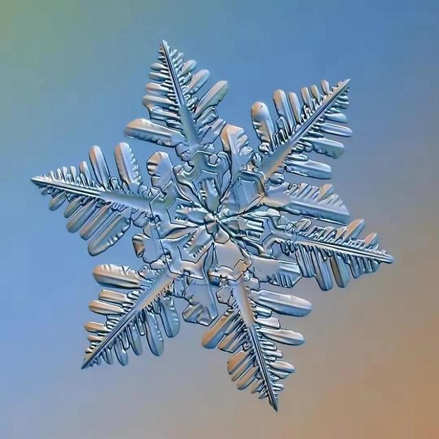 显微镜下的雪花–感受大自然馈赠的美