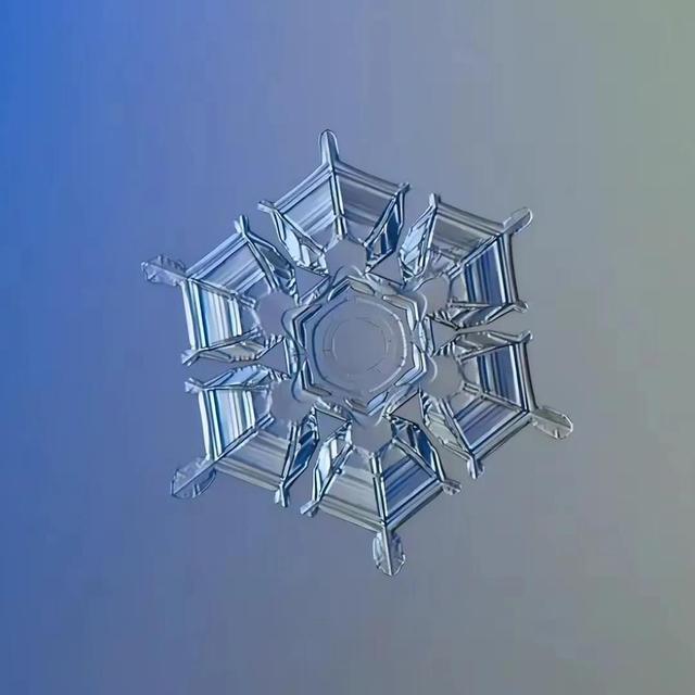 显微镜下的雪花–感受大自然馈赠的美