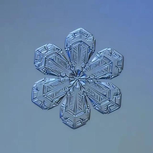 显微镜下的雪花–感受大自然馈赠的美