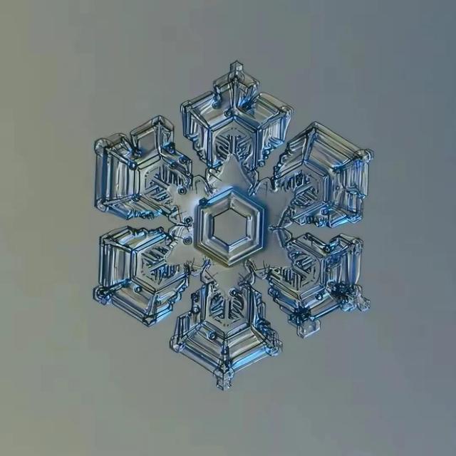 显微镜下的雪花–感受大自然馈赠的美