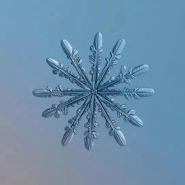 显微镜下的雪花–感受大自然馈赠的美