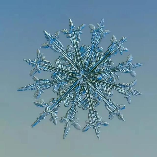 显微镜下的雪花–感受大自然馈赠的美