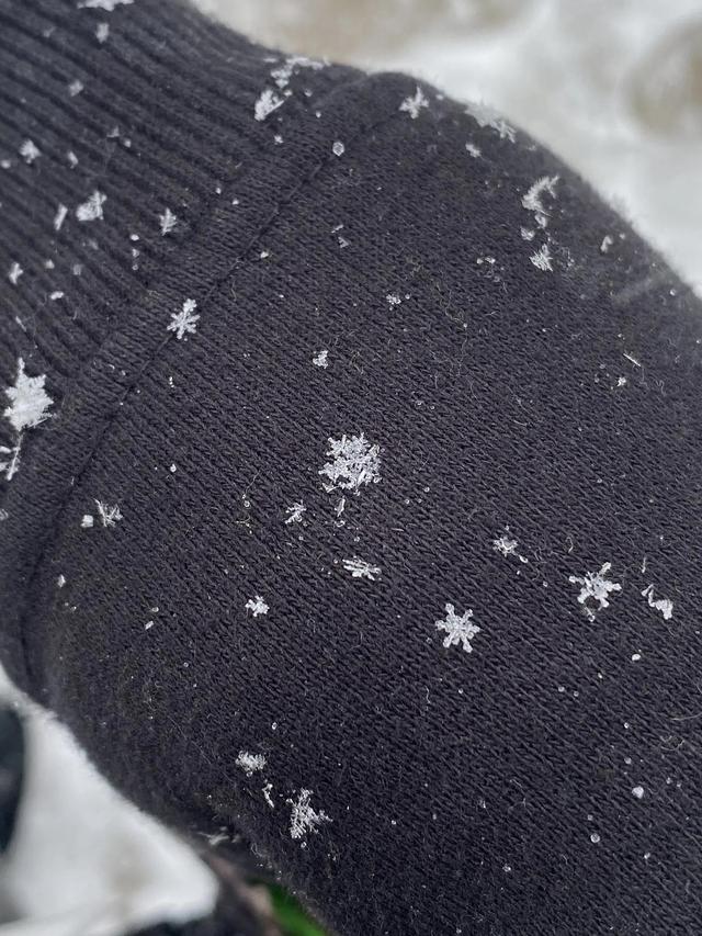 显微镜下的雪花–感受大自然馈赠的美