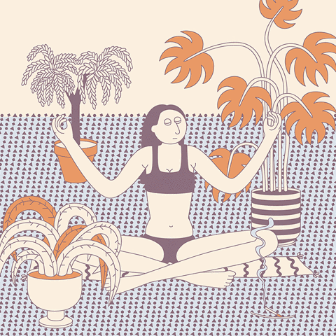 1529382014855e893bfbcc6