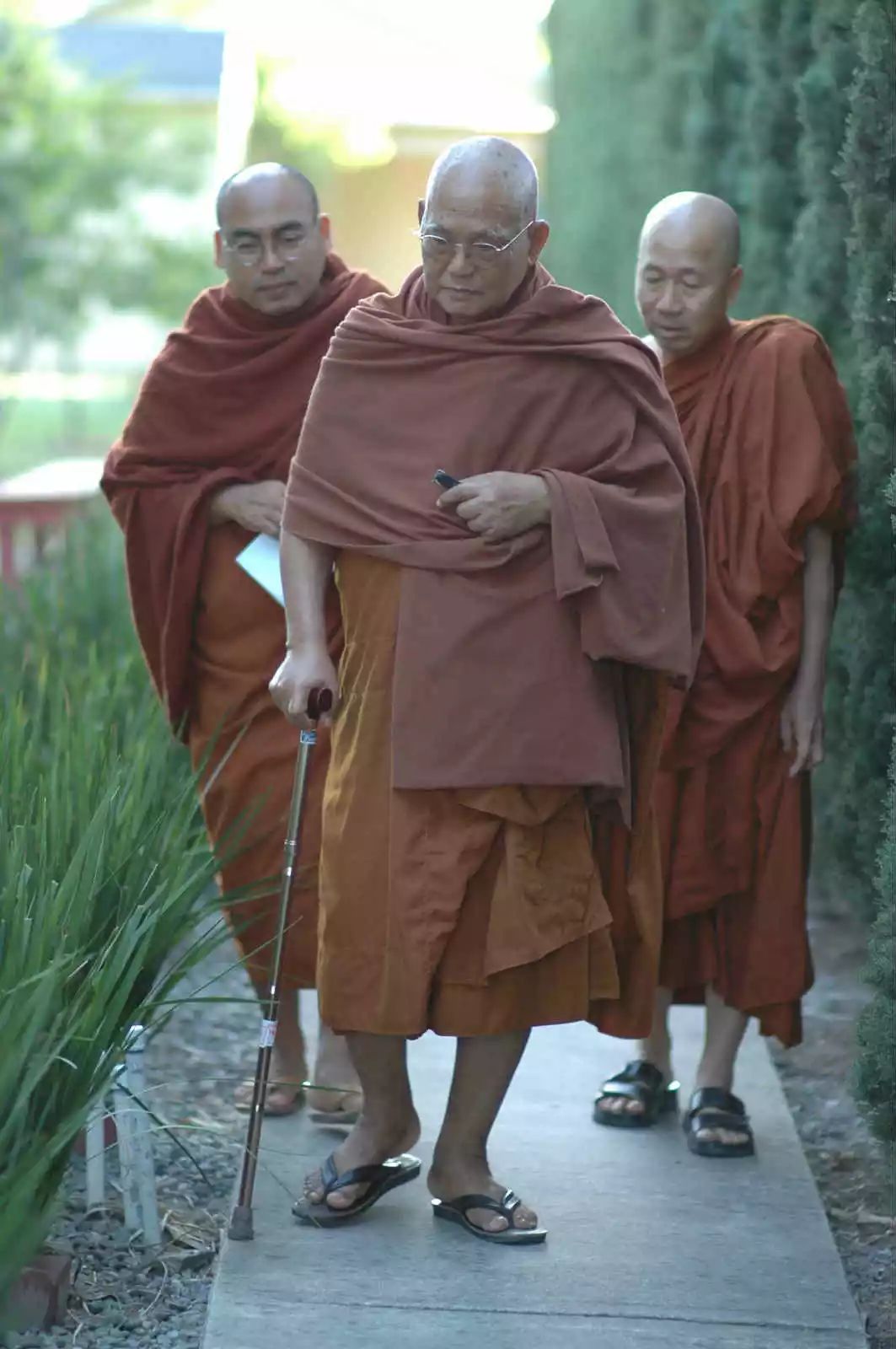 1529382016907f4aa8b5347