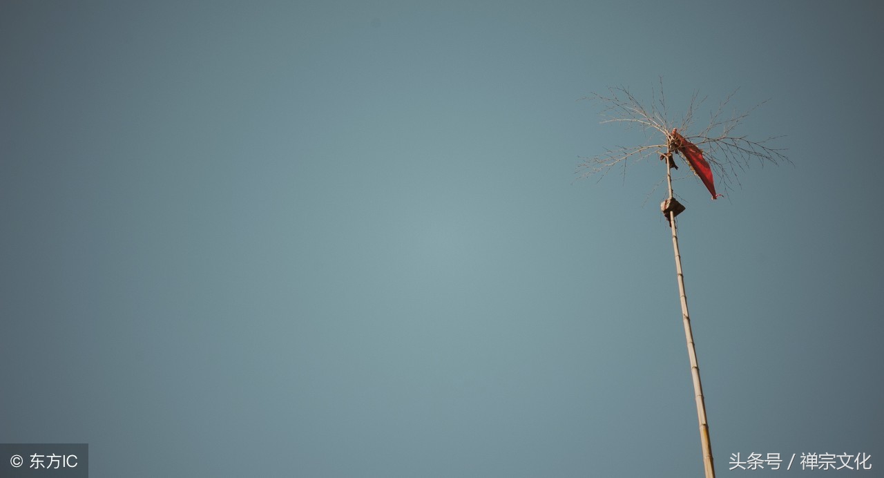 1523398310860441c47ba0b