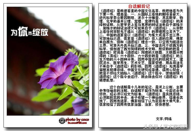 15234416536146614909809